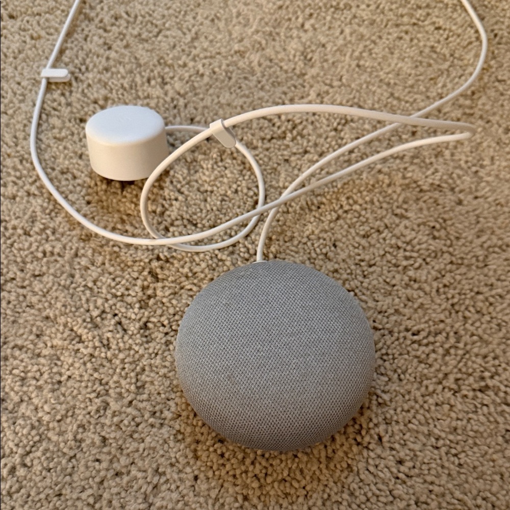Google Gray Smart Speaker